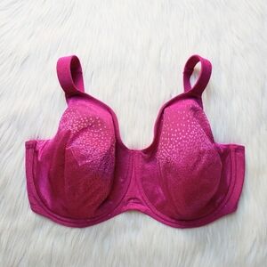 Wacoal Back Appeal® Underwire Bra in Fuchsia (RARE COLOR!!), 40J 36K